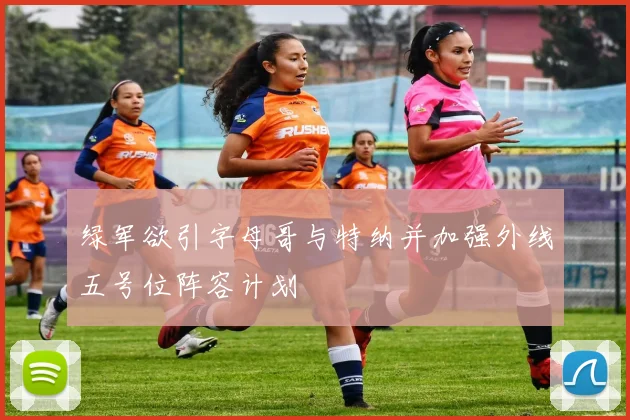 绿军欲引字母哥与特纳并加强外线五号位阵容计划